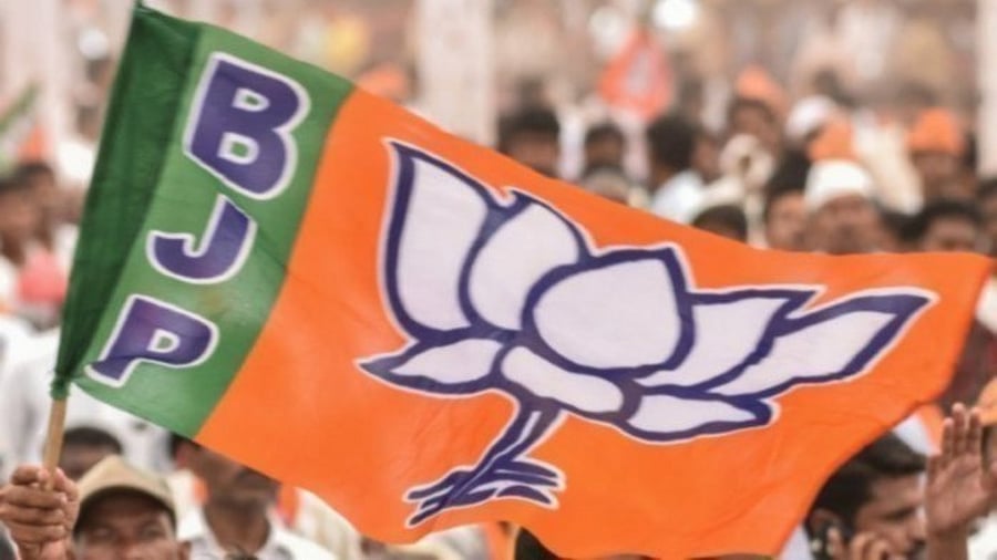 <div class="paragraphs"><p>The BJP flag</p></div>